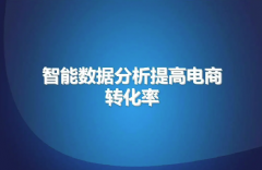 电商自建站转化率选择自建站的优势